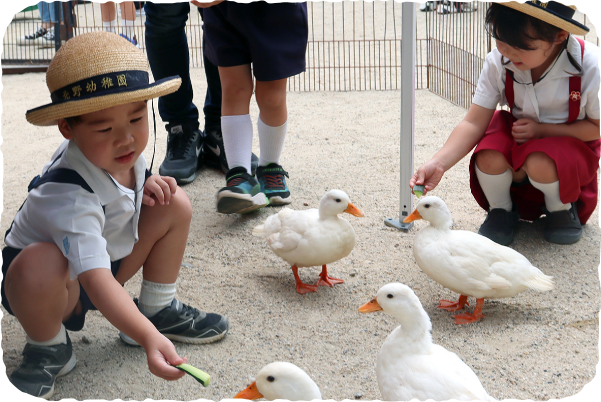 ふれあい動物